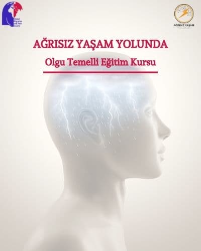 Ağrısız Yaşam Yolunda kapak görseli