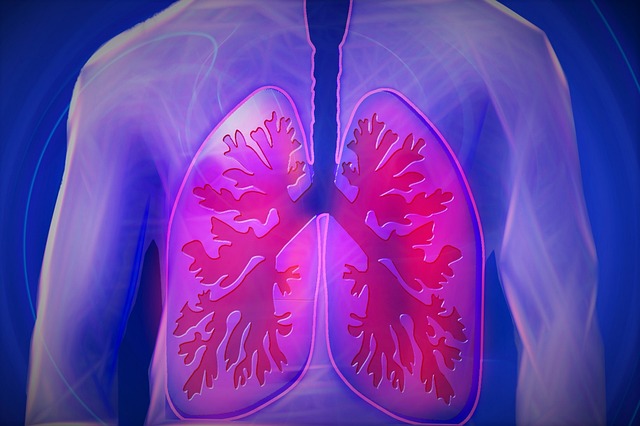Akciğer Özelliklerini Taklit Eden Organoid Geliştirildi