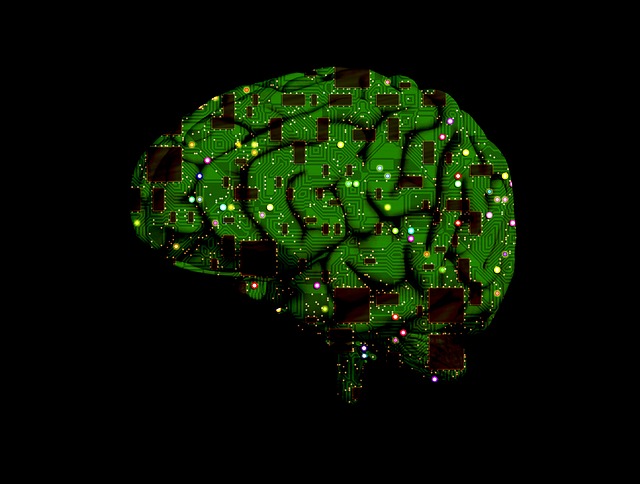DARPA Beyin İle Bilgisayarı İletişime Geçirecek