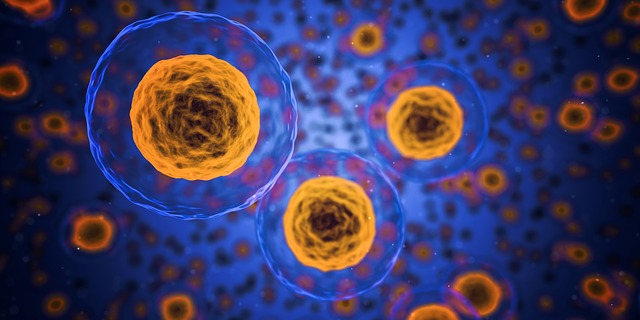 Mitokondriler Yüksek Isılarda Çalışıyor Olabilir