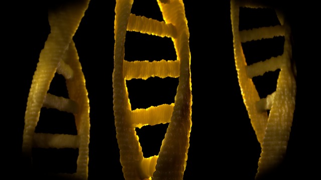 DNA Veri Depolama 10 Yıl İçinde Kullanıma Hazır Olacak