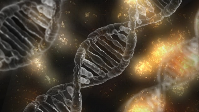 Araştırmacılar DNA Kodunun Tek Harflerini Değiştirebilir