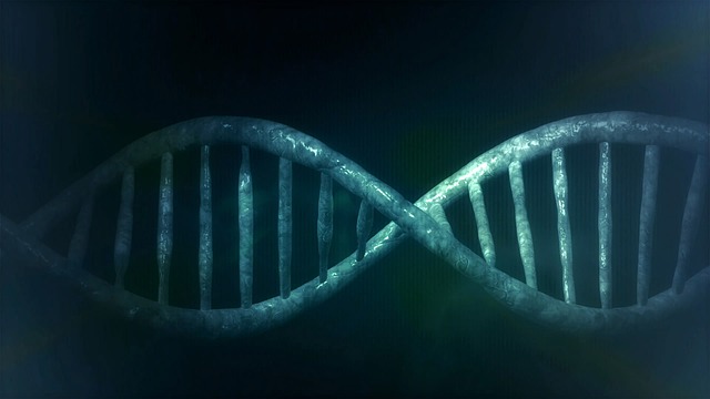 Araştırmacılar Genleri Düzenleyerek Kanseri Yenmek için Çalışıyor