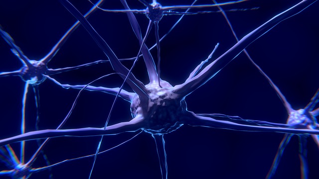 Yeni Bir Nöron Türü Keşfedildi