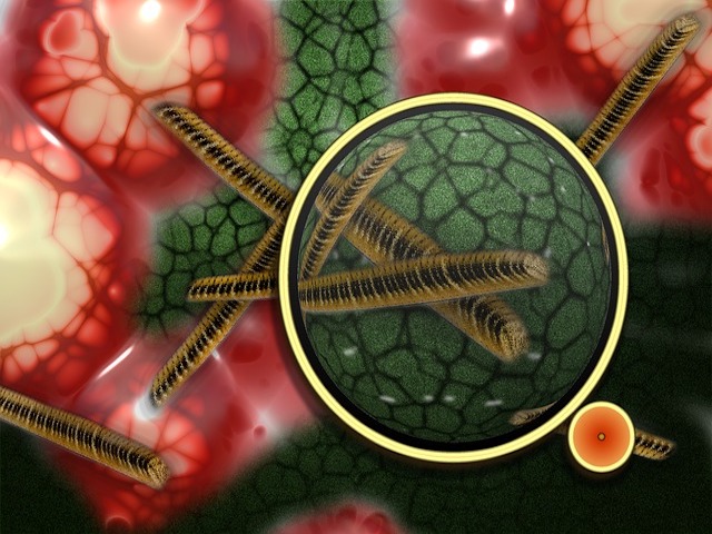Dünya  Çapında Artış Gösteren “Candida Auris Enfeksiyonu” Hakkında Bilinmesi Gerekenler
