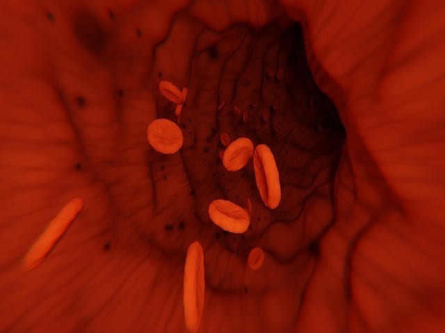 Kırmızı Kan Hücreleri İlaç Dağıtımında Rol Oynuyor
