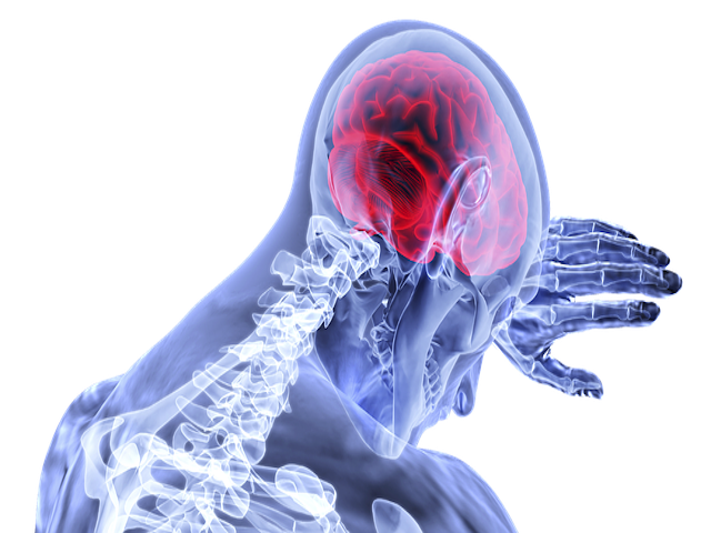 İlaçların Beyne Güvenli Girişi Kısa Dalga Boylu Ultrason İle Sağlanıyor