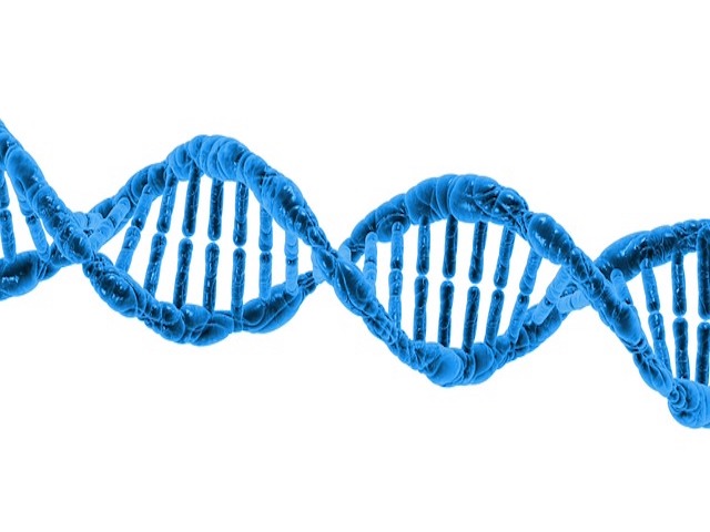 Uyku Yoksunluğu DNA’ya Zarar Verebilir