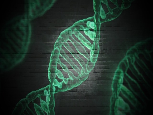 CCR5 Geni Olmayan Hastalar Felci Daha Kolay Atlatıyor
