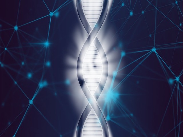Sağlıklı Hücrelerde Dörtlü DNA Sarmalı Keşfedildi
