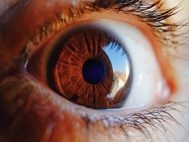 Retina Lezyonlarının Kapsamlı Açıklaması İçin Yapay Zeka