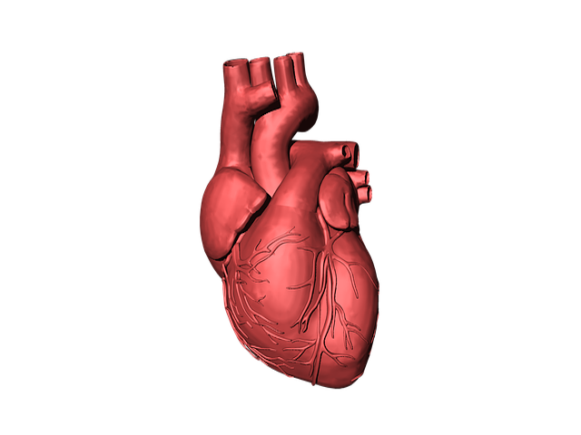 yapay bir kalbin sağlık riskleri bezelye ve yüksek tansiyon