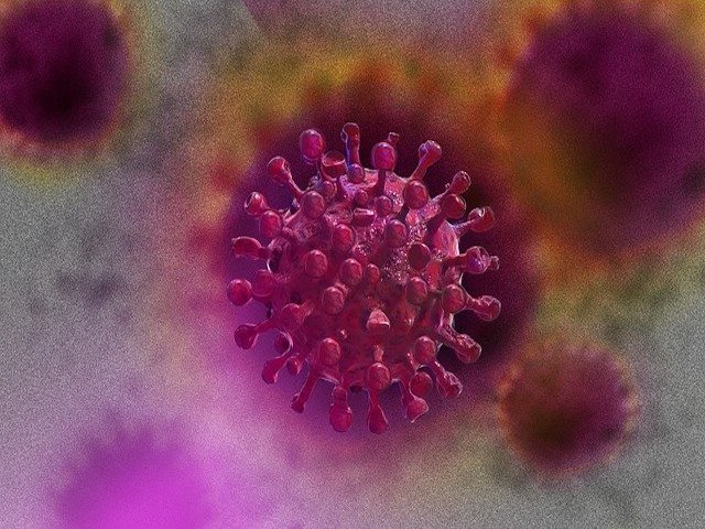 HIV'in Hücreleri Enfekte Ediş Anı Test Tüpü İçerisinde İlk Kez Canlanlandırıldı