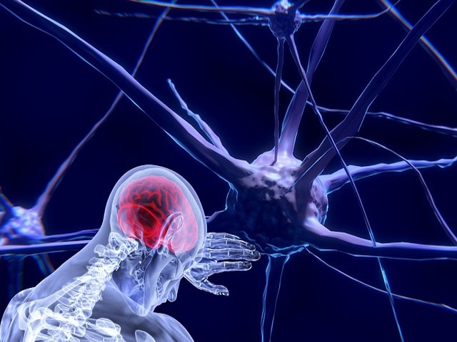 Nöronları Taklit Eden Prob Geliştirildi