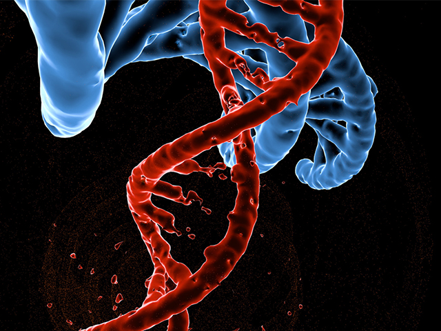3D Genom Etkileşimlerini Ortaya Çıkaran Teknik