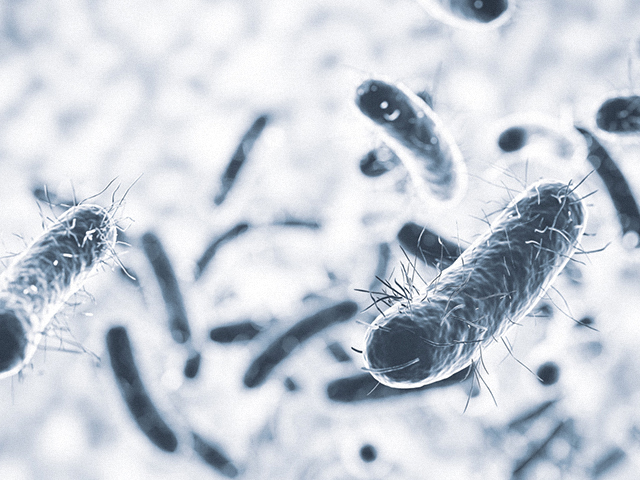 Hidrojel Yara Tedavisi Antibiyotiğe Dirençli Bakterileri Öldürüyor