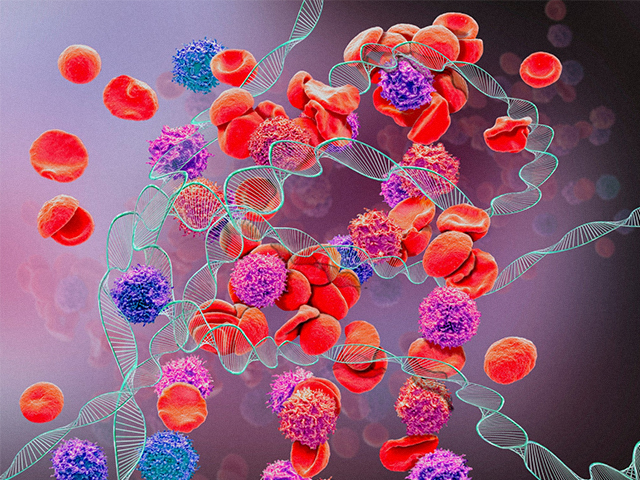 CAR-T Hücre Oluşturma ve Serbest Bırakma için İmplante Edilebilir Biyomateryal
