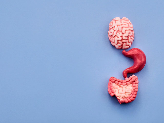 Alzheimer Belirtileri Ortaya Çıkmadan Önce Barsak Mikrobiyomunda Değişimler Başlıyor