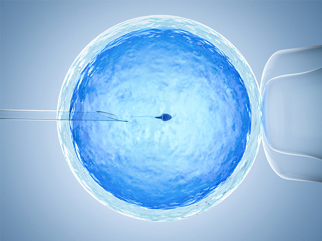İntrasitoplazmik Sperm Enjeksiyonlarına Yardımcı Olan Mikrocihaz