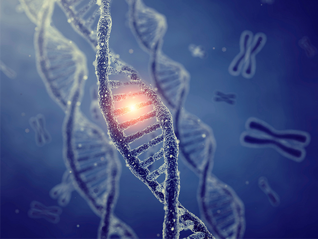 Bilim İnsanları MS Geninin Nasıl Yayıldığının Gizemini Çözdü