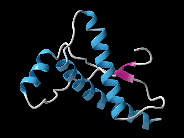 Yanlış Katlanmış Proteinlerin Hızlı Tespiti