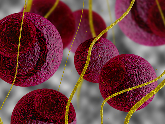 Protein Kaplama Nanopartikülleri Bağışıklık Saldırısından Koruyor