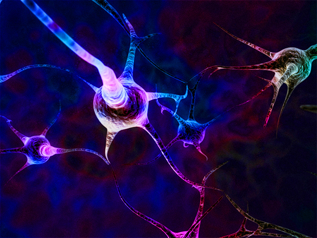 Sinirbilimciler İlk Kapsamlı Beyin Hücreleri Atlasını Yayınladılar