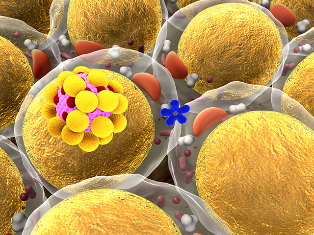 Araştırmacılar Nadir Bir Yağ Molekülünün Hücre Ölümüne Yardımcı Olduğunu Keşfetti