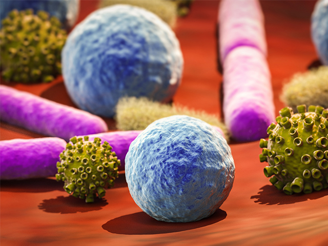 Grip Virüsü Hücrelerimizi Nasıl Enfekte Ediyor?