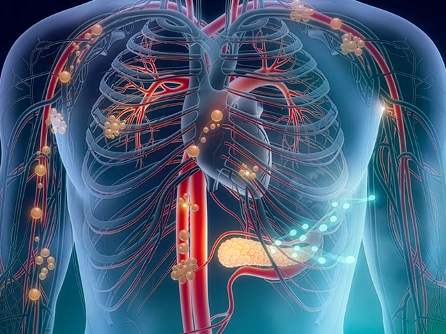 Organ Naklinde Bağışıklık Tedavilerinde Yeni Dönem