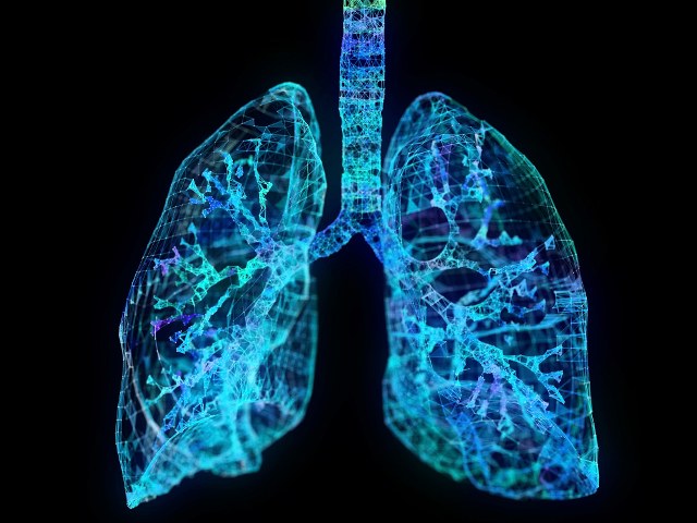 FDA Onaylı Strados RESP Akciğer Seslerini Gözlemliyor