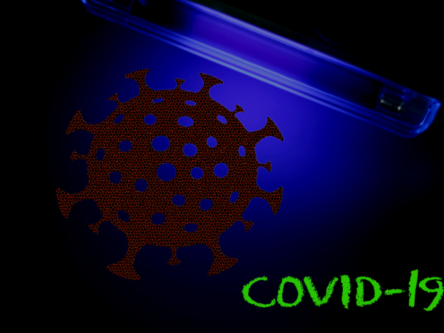 ABD'de Birçok Ev COVID-19'un Yayılmasını Durduramayacak Kadar Küçük