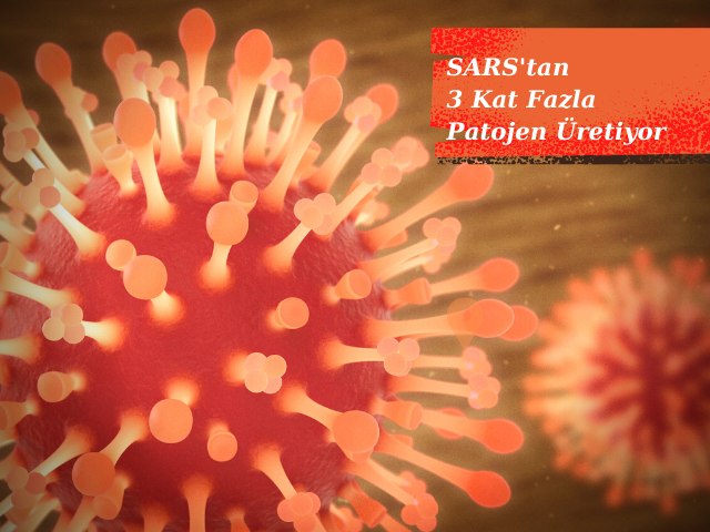 Yeni Koranavirüs SARS Suşundan Üç Kat Daha Fazla Patojen Üretebiliyor