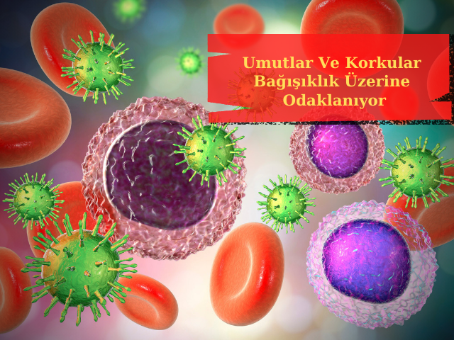 Koronaviruste Umutlar Ve Korkular Bağışıklık Üzerine Odaklanıyor
