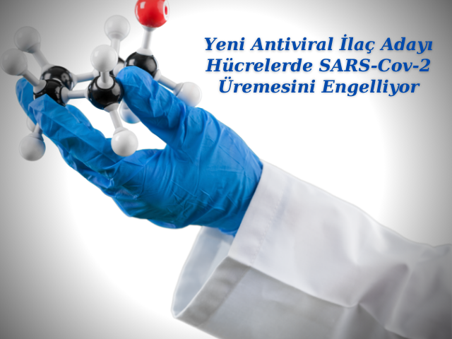 Yeni Antiviral İlaç Adayı Hücrelerde SARS-Cov-2 Üremesini Engelliyor