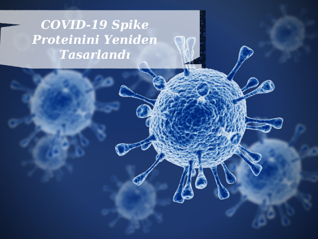 COVID-19 Spike Proteinini Yeniden Tasarlandı