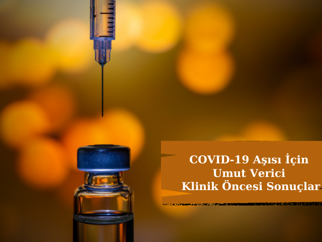 COVID-19 Aşısı İçin Umut Verici Klinik Öncesi Sonuçlar