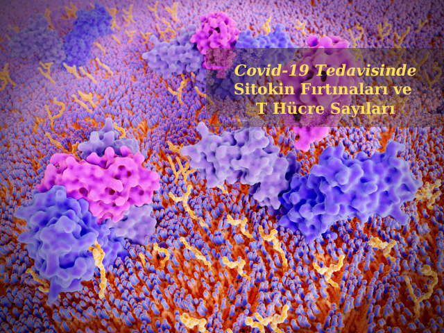 Sitokin Fırtınaları Ve T Hücre Sayıları COVID-19'un Nasıl Tedavi Edileceğine Dair İpuçları Sunabilir