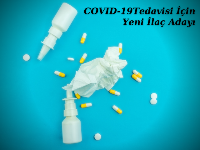 COVID-19 Tedavisi İçin Yeni İlaç Adayı