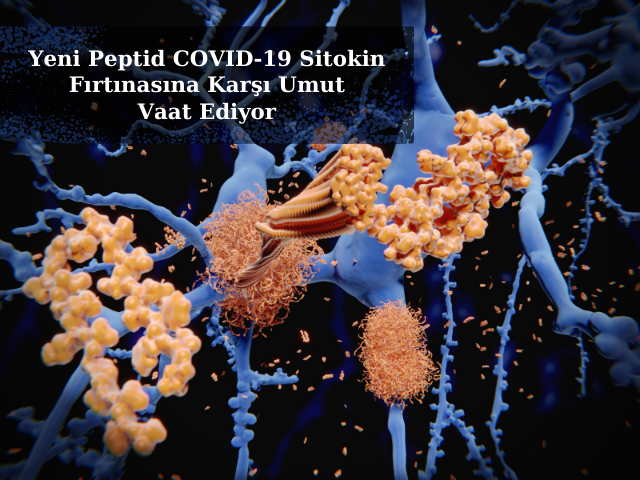 Yeni Peptid COVID-19 Sitokin Fırtınasına Karşı Umut Vaat Ediyor