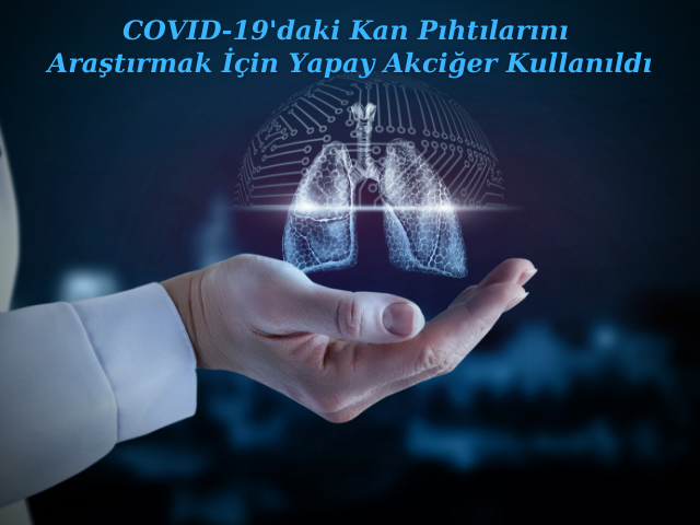 COVID-19'da Oluşan Kan Pıhtılarını Araştırmak İçin Yapay Akciğer Kullanıldı