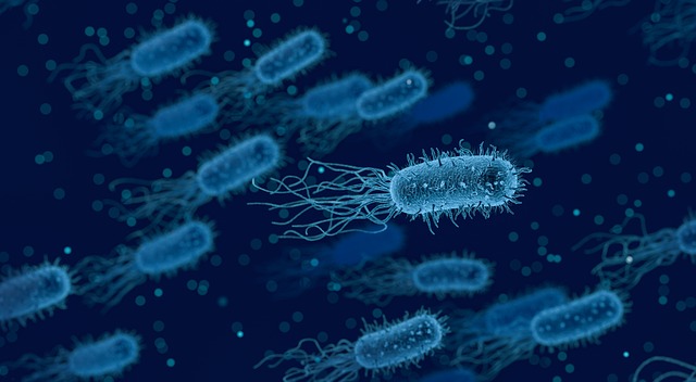 Bilinen Tüm Bakteriyel Enfeksiyonlar İçin Ortak Test Geliştirdiler